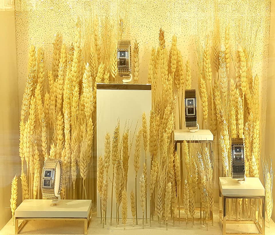 46856831_2349891465226202_6207603266126086144_n