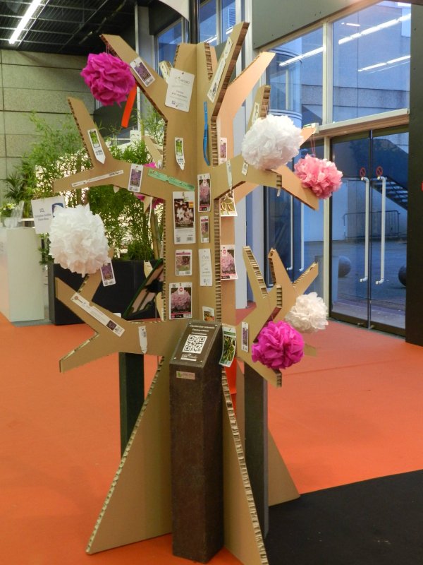 Arbre en carton - My Nature Box